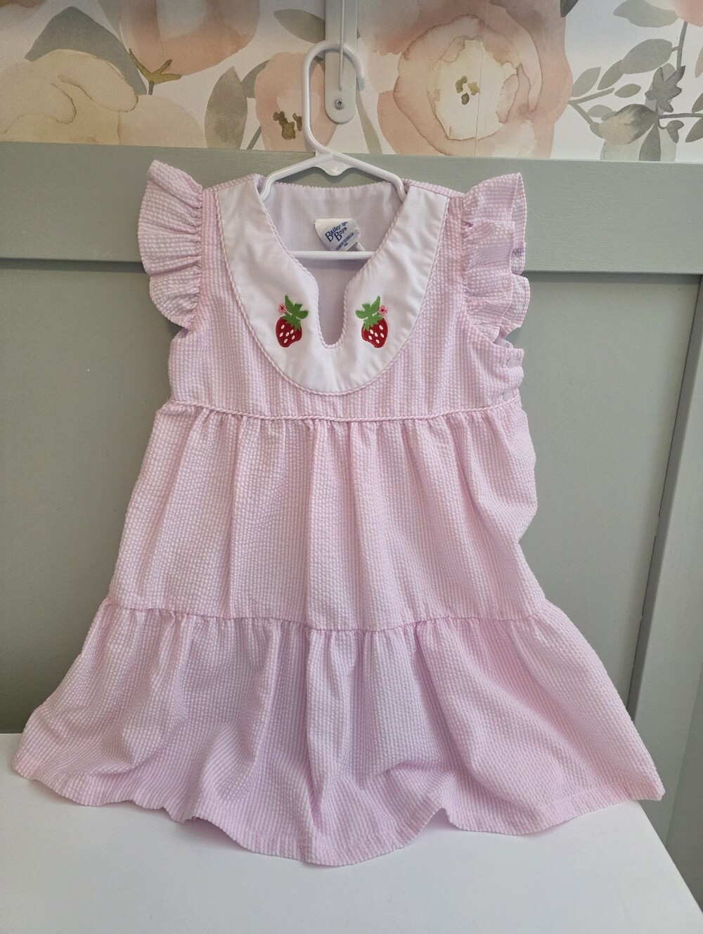 Bailey Boys 4t Smocked Brand Pink Strawberry Appliqué Kids Dress